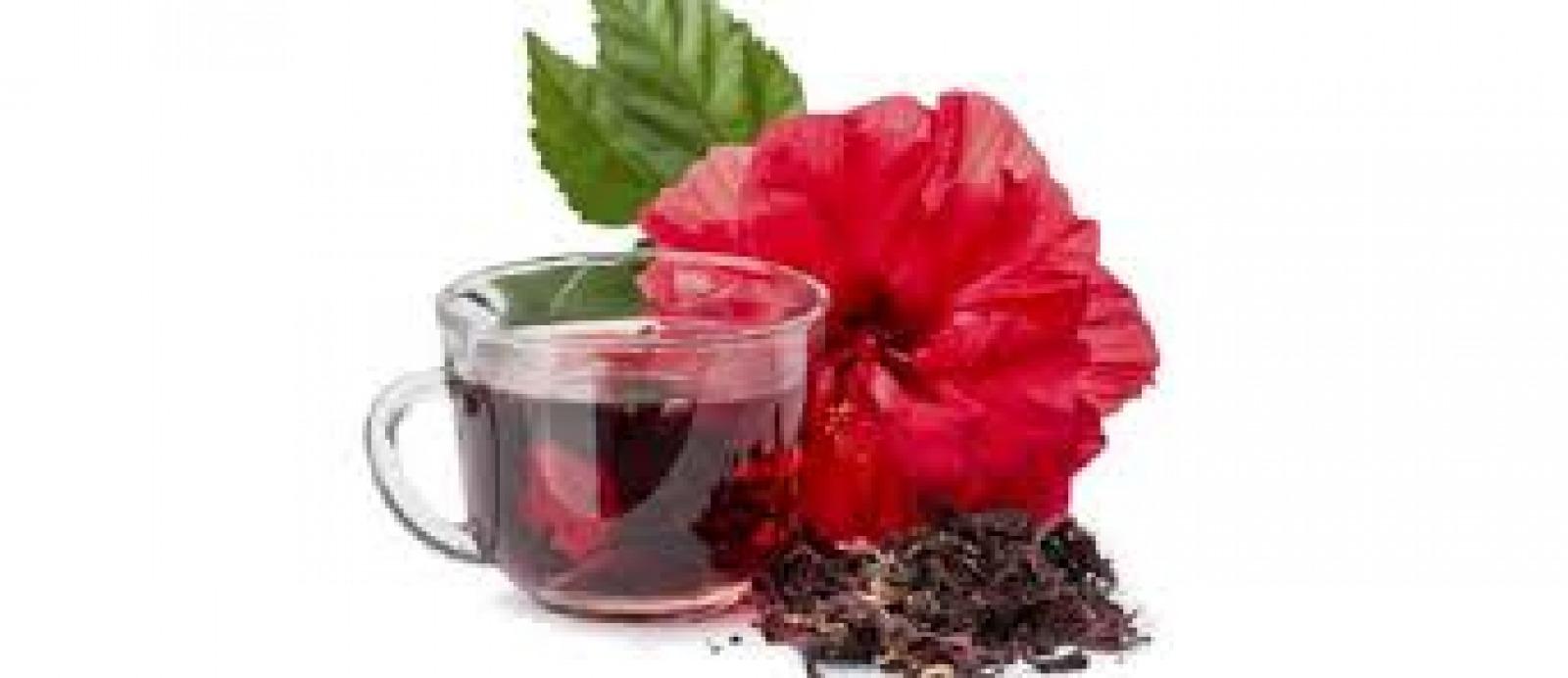 BENEFÍCIOS DO CHÁ DE HIBISCO