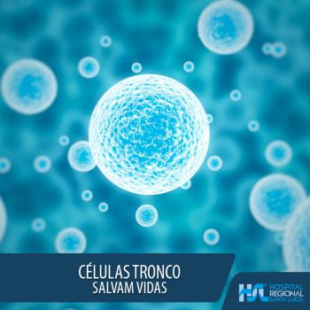 Você sabe o que são células tronco?